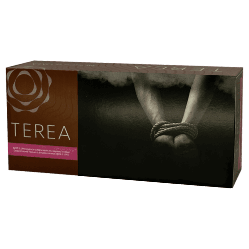 Terea Bronze KZ