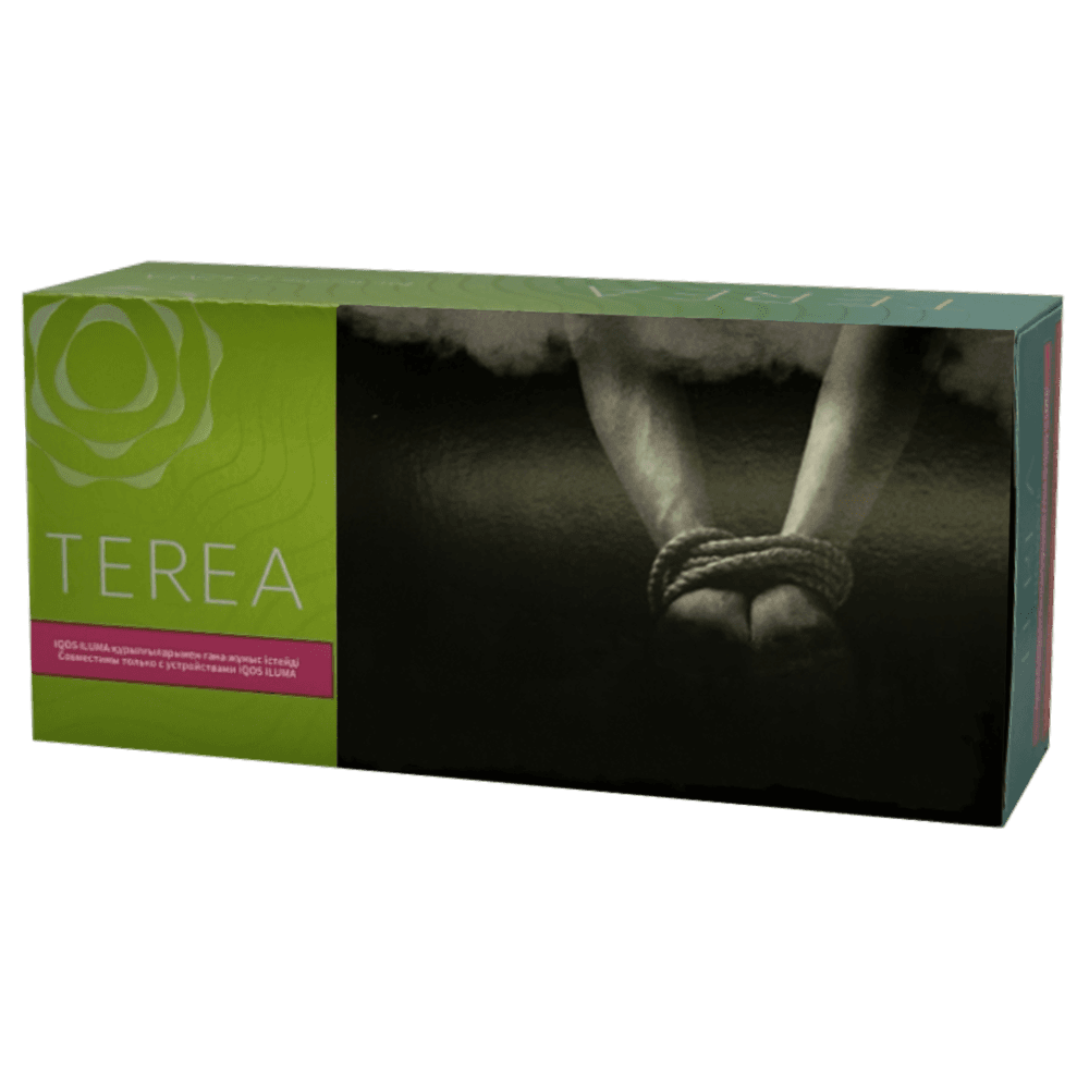 Terea Zing Wave KZ